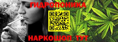 твердый Будённовск